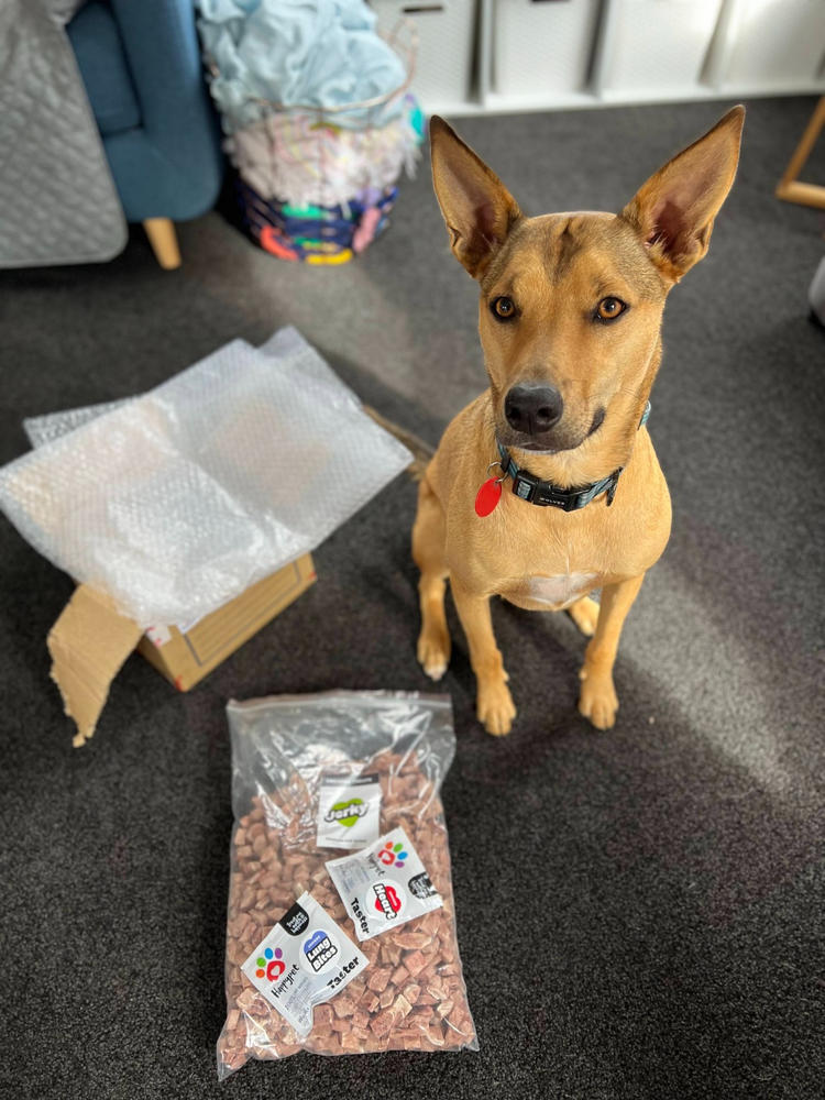 Venison Jerky 1kg - Cat and Dog Treat - Customer Photo From Kahu and Hamish Blank