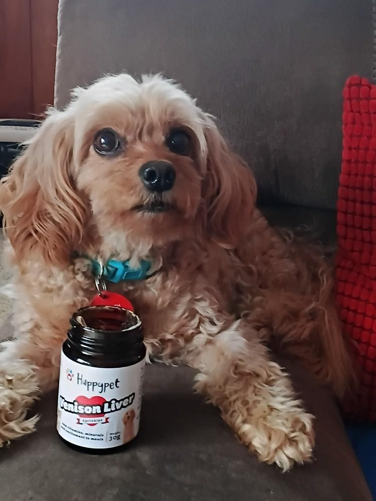 Liver Powder 30g - Topper or Supplement for Cats and Dogs - Customer Photo From Avril McCloy