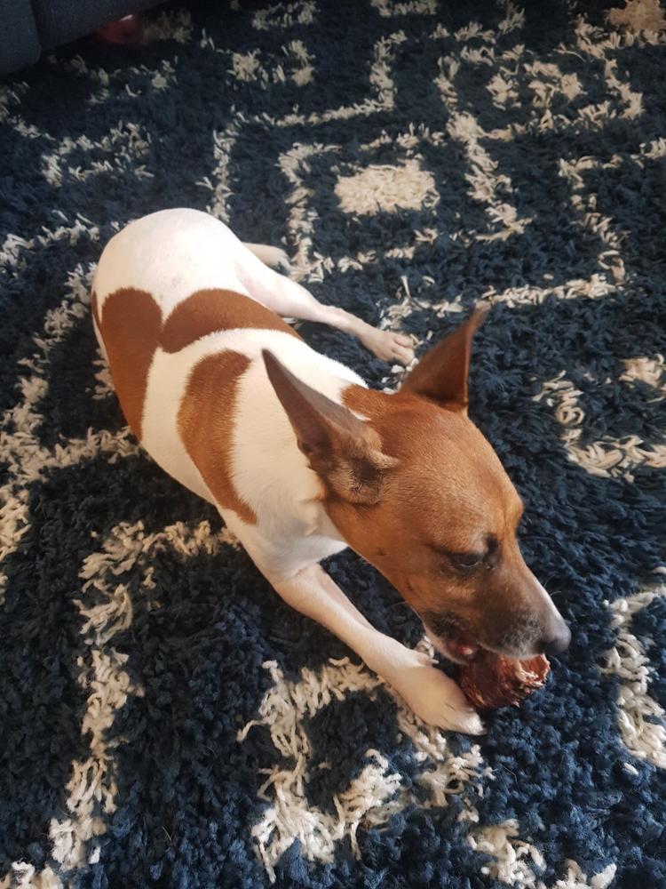 Venison Jerky 250g - Cat and Dog Treat - Customer Photo From Vicky Mackenzie
