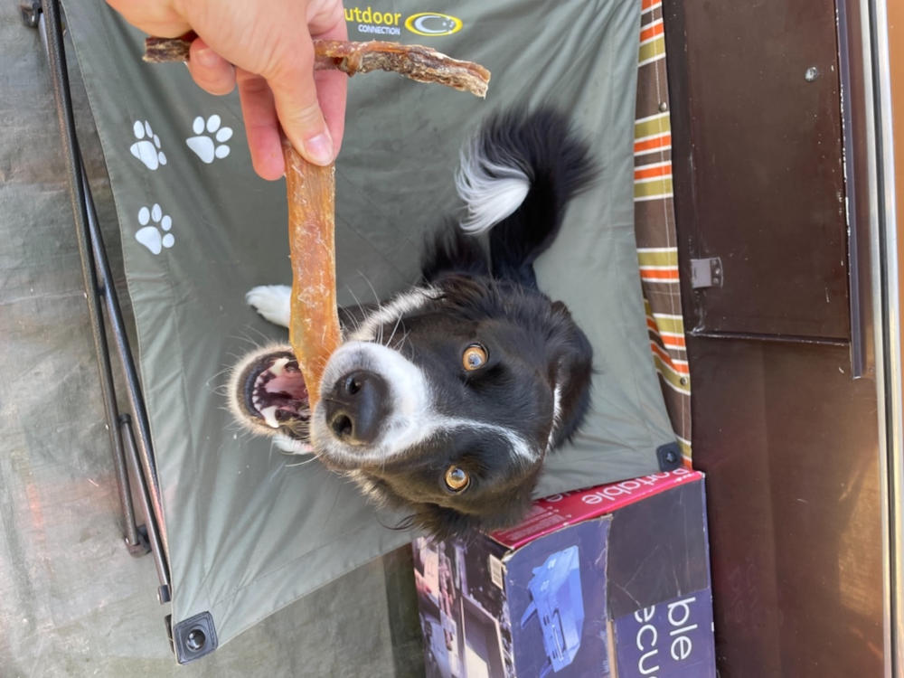 Golden Tendons 170g - Venison Dog Chews - Customer Photo From Hayley Whittle