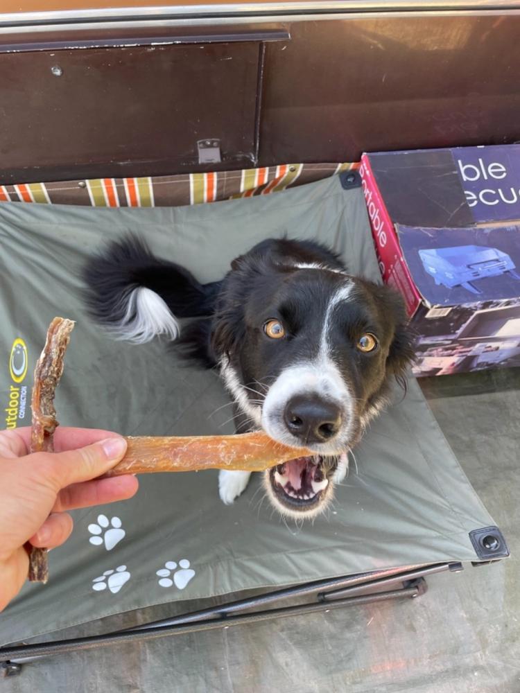 Golden Tendons 170g - Venison Dog Chews - Customer Photo From Hayley Whittle