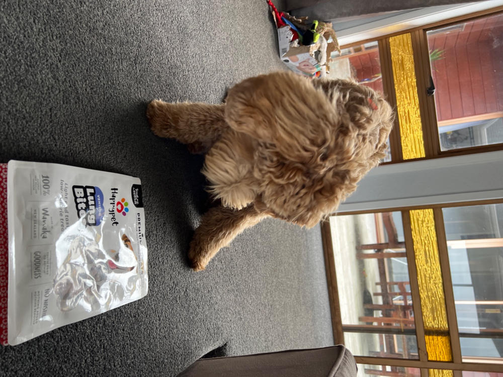 Venison Lung 180g - Treats for Cats and Dogs - Customer Photo From Karen Wilson