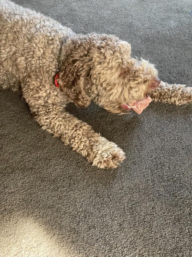 Venison Slice 1kg - Best Dog Chew - Customer Photo From Trish Robson