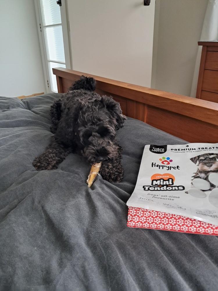 Meaty Tendons - Natural Dog Chews - Customer Photo From Anonymous