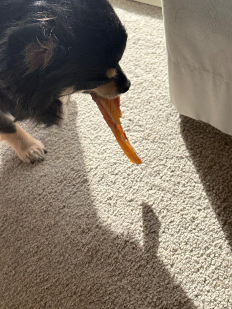 Golden Tendons - Venison Dog Chews - Customer Photo From Marlene McClelland