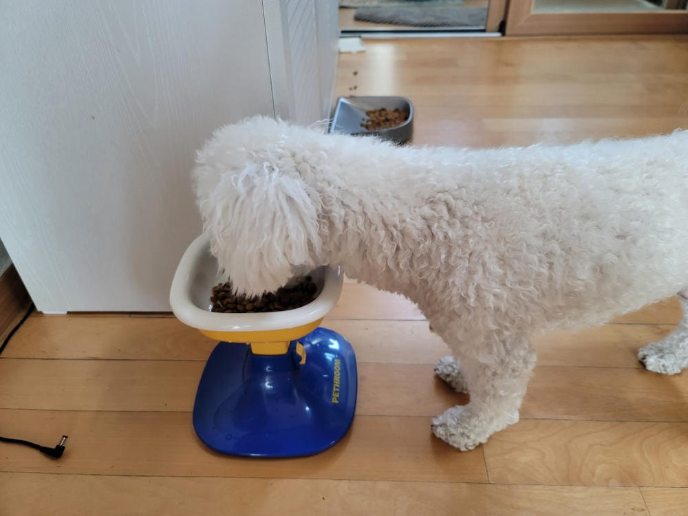 ウェルフィットボウル