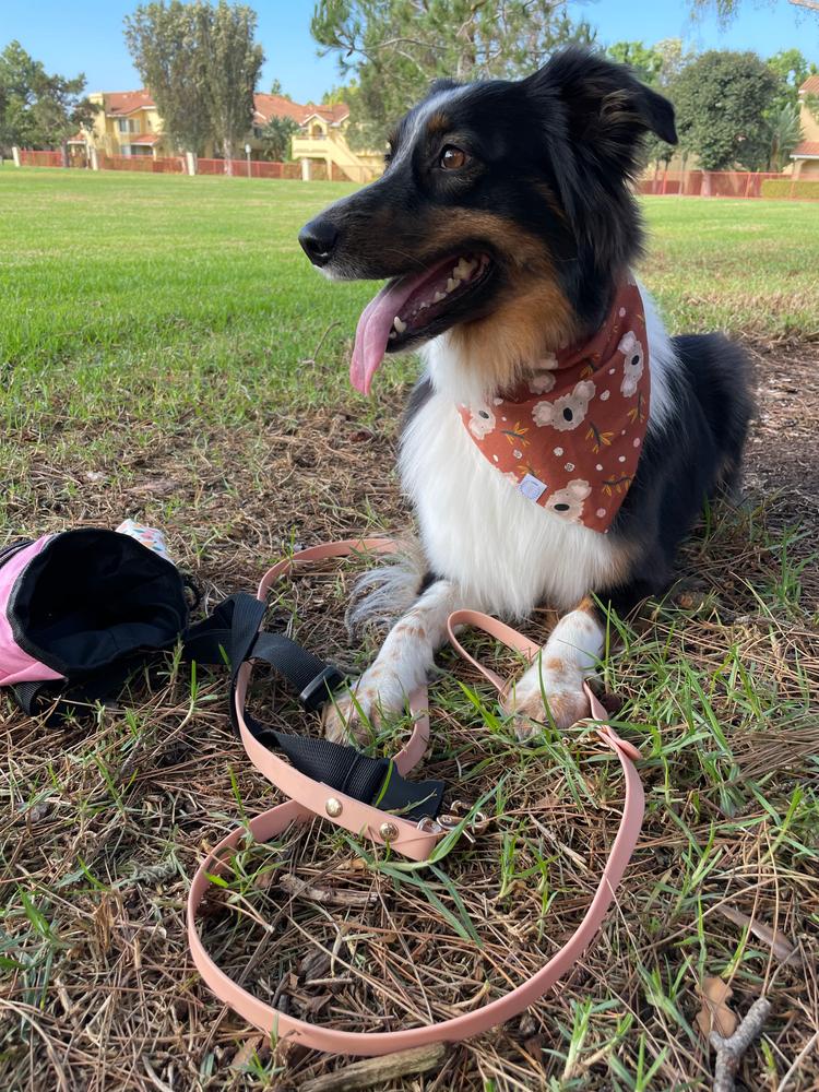 Malibu Blue Waterproof Cloud Dog Leash