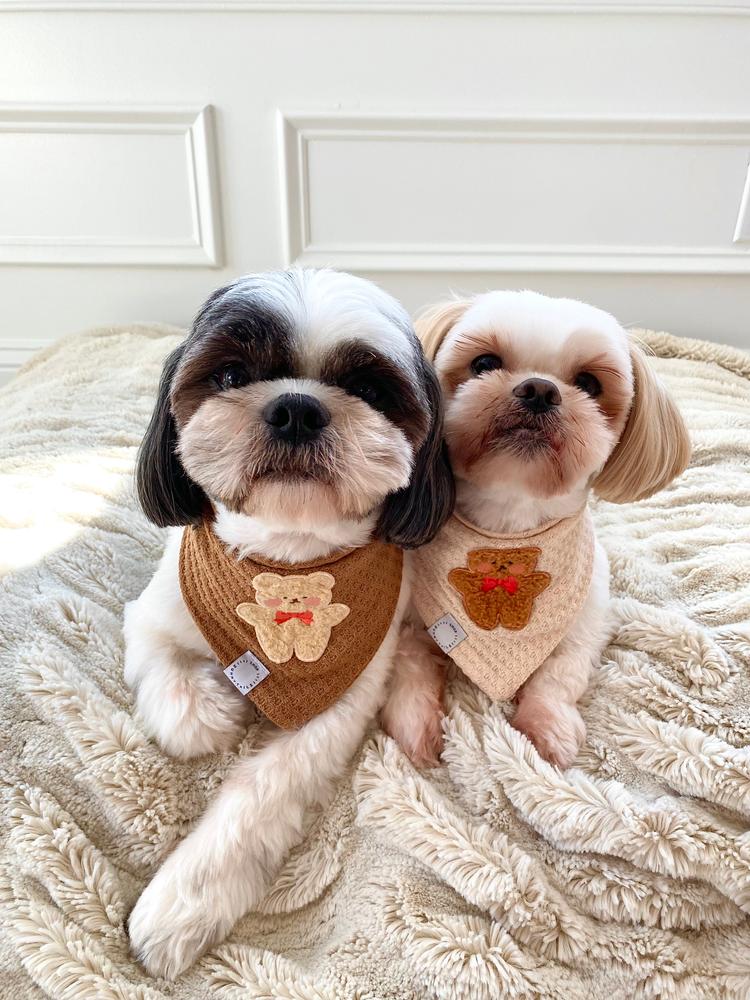 Pocket Teddy Friends Vol. 1 Dog Bandana - Beige - Customer Photo From Tina Sun