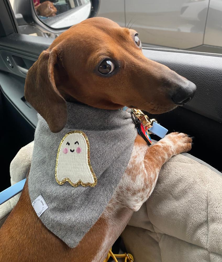 Ghost Grey Herringbone Flannel Dog Bandana (Glow in the Dark) - Customer Photo From Marissa Lopez