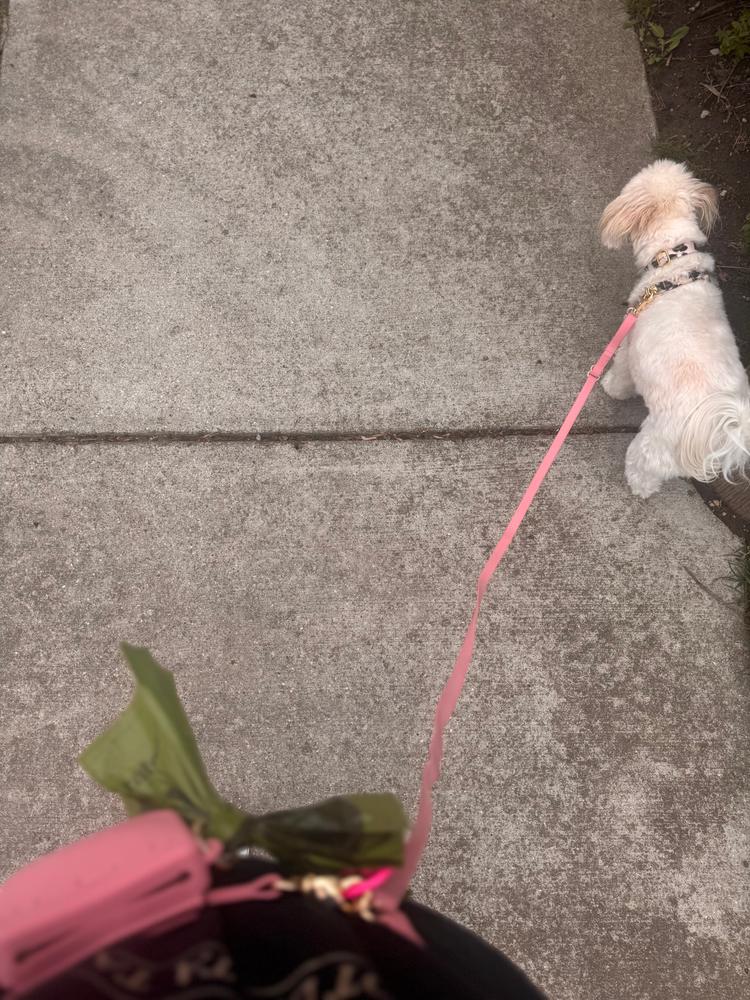 Ember Black Snap Dog Treat Pouch - Customer Photo From Tracey