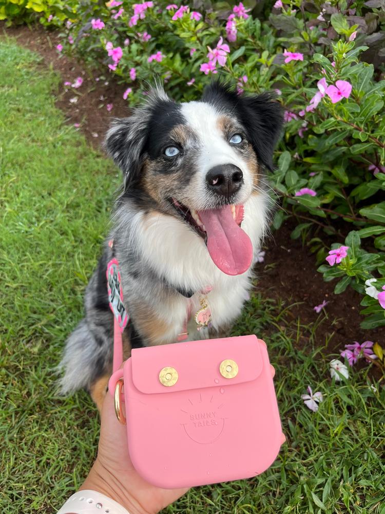 Best Sellers Collar & Treat Pouch Bundle – SUNNY TAILS