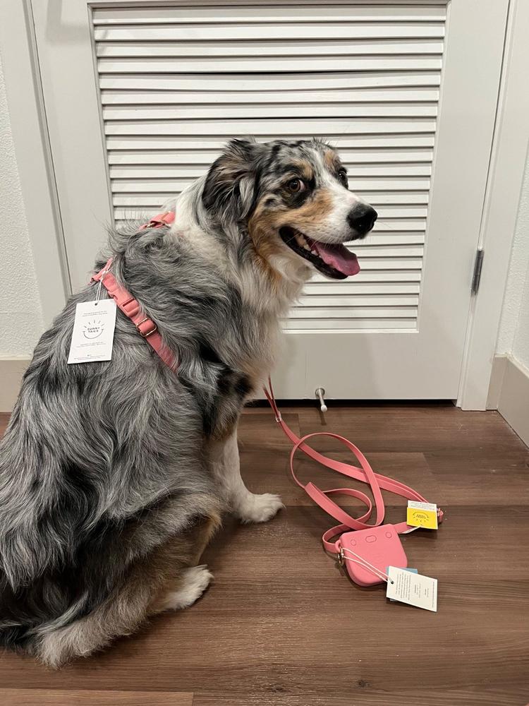 Perfect Pink Snap Dog Treat Pouch - Customer Photo From Lisa Coaliron