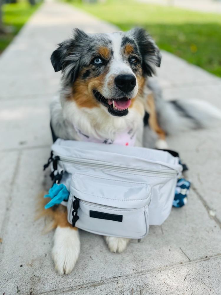 Dog fanny pack carrier sale