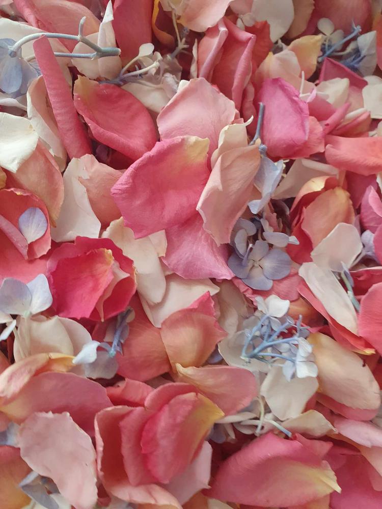 Coral Serenade™ Freeze Dried Rose Petals - Customer Photo From Rhi
