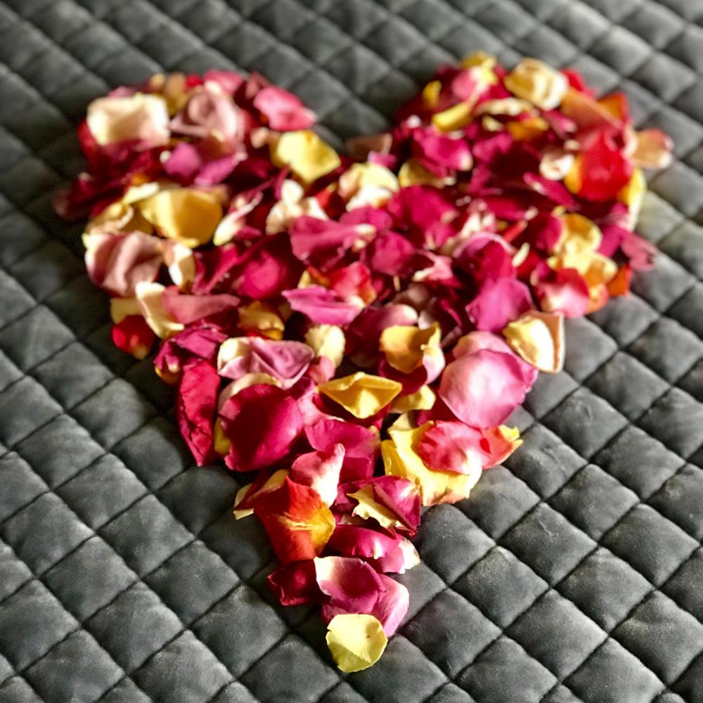 Rainbow Impression™ Freeze Dried Rose Petals - Customer Photo From Bernadette Junor
