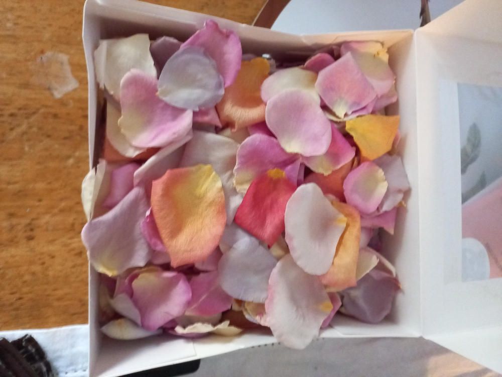 Pastel Impression™ Freeze Dried Rose Petals - Customer Photo From Kate Ruby