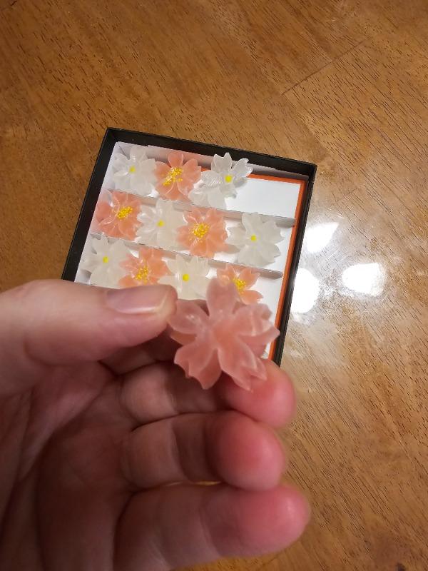 Sakura Kohakuto Flowers - Customer Photo From Lynne K.