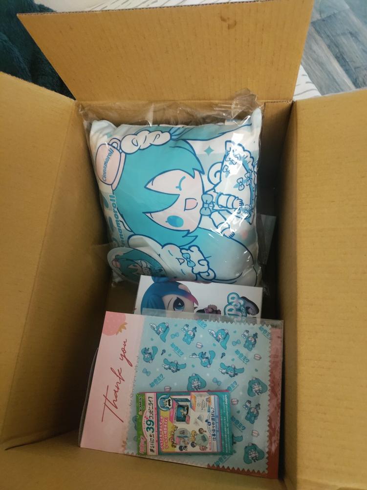 Hatsune Miku Lucky Bag - Customer Photo From Quinn B.