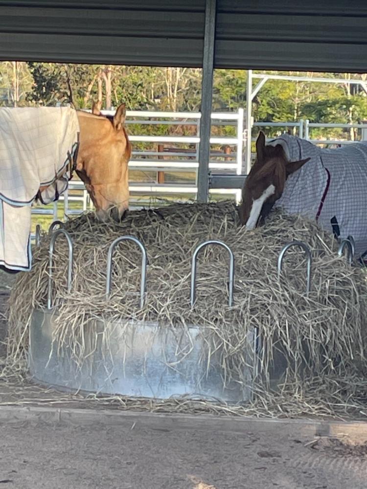 Deluxe Knotless 4x4 Round Bale Horse Slow Feeder Hay Net Aussie Grazers