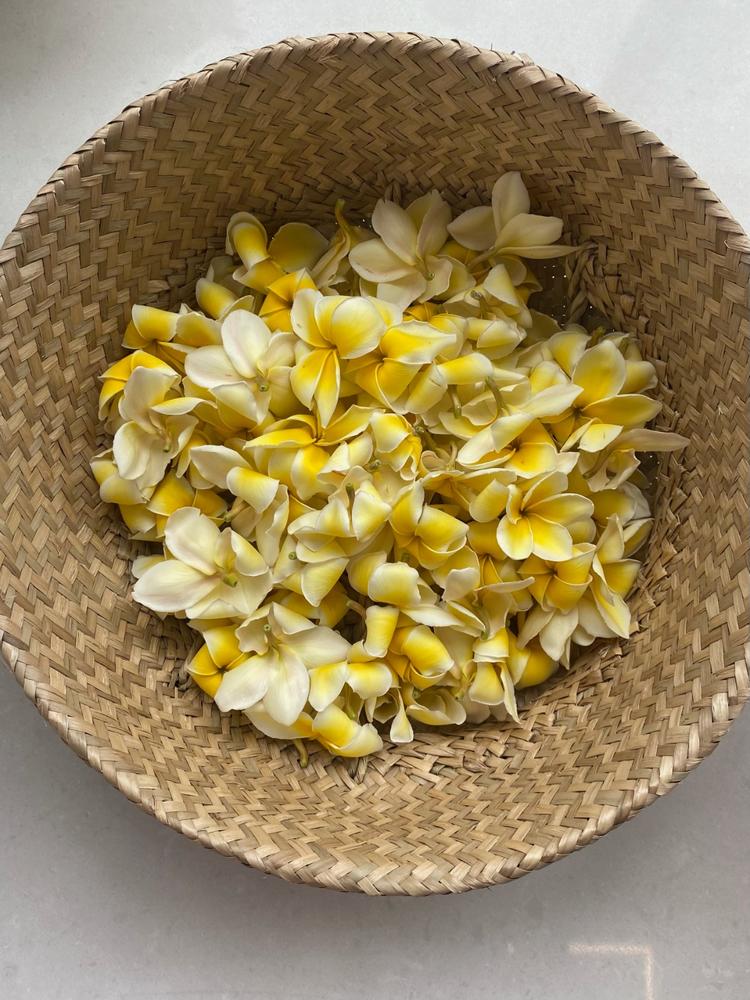 Loose Plumeria Blooms - Customer Photo From Kristen Liu