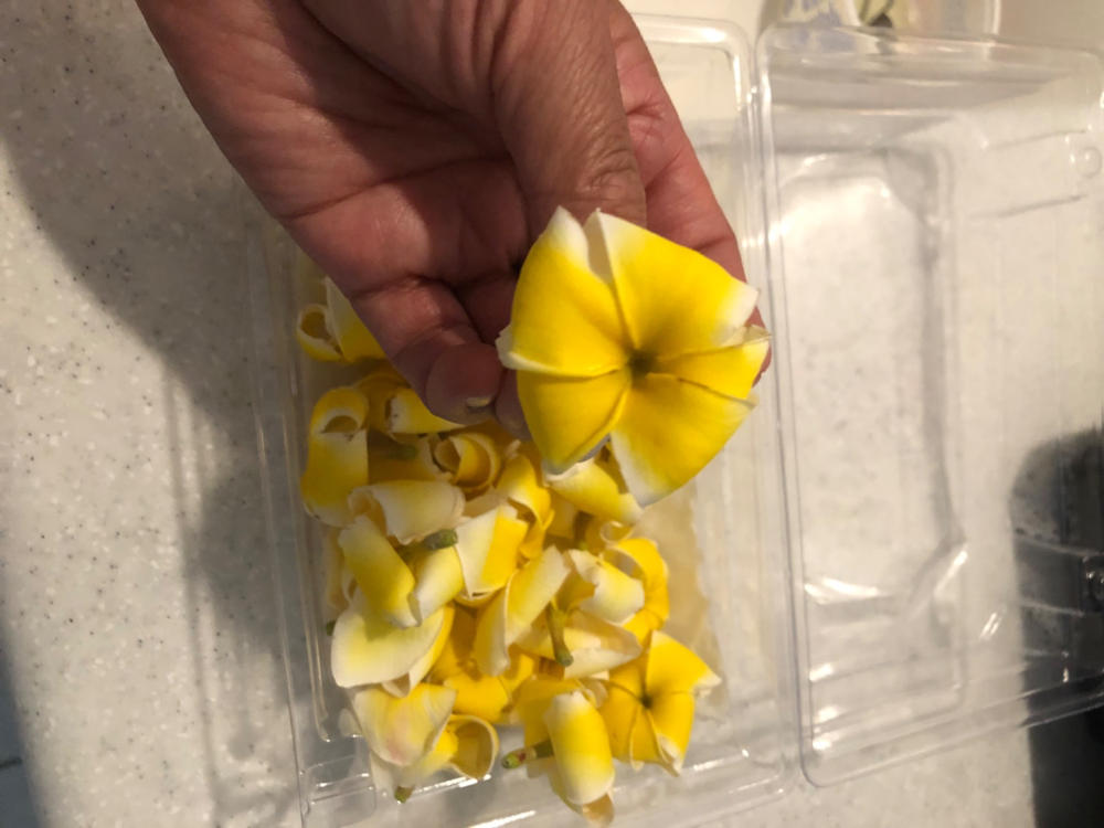 Loose Plumeria Blooms - Customer Photo From Helen M.
