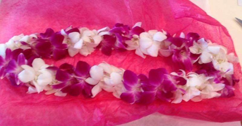 Double Orchid / Clustered Orchid - Customer Photo From Tess E.