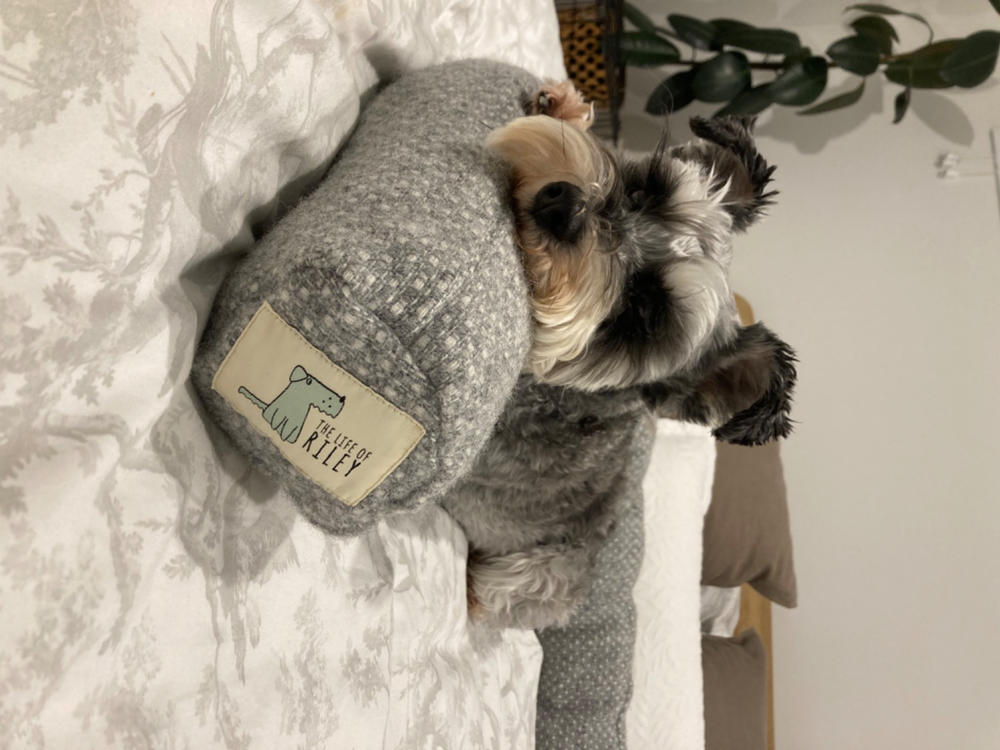 Snuggle Sausages - Customer Photo From Anonymous