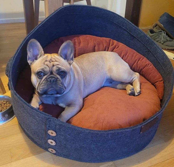 The Pod Bed - Customer Photo From Anonymous