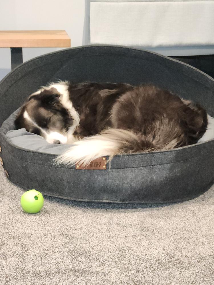 The Pod Bed - Customer Photo From Sophie