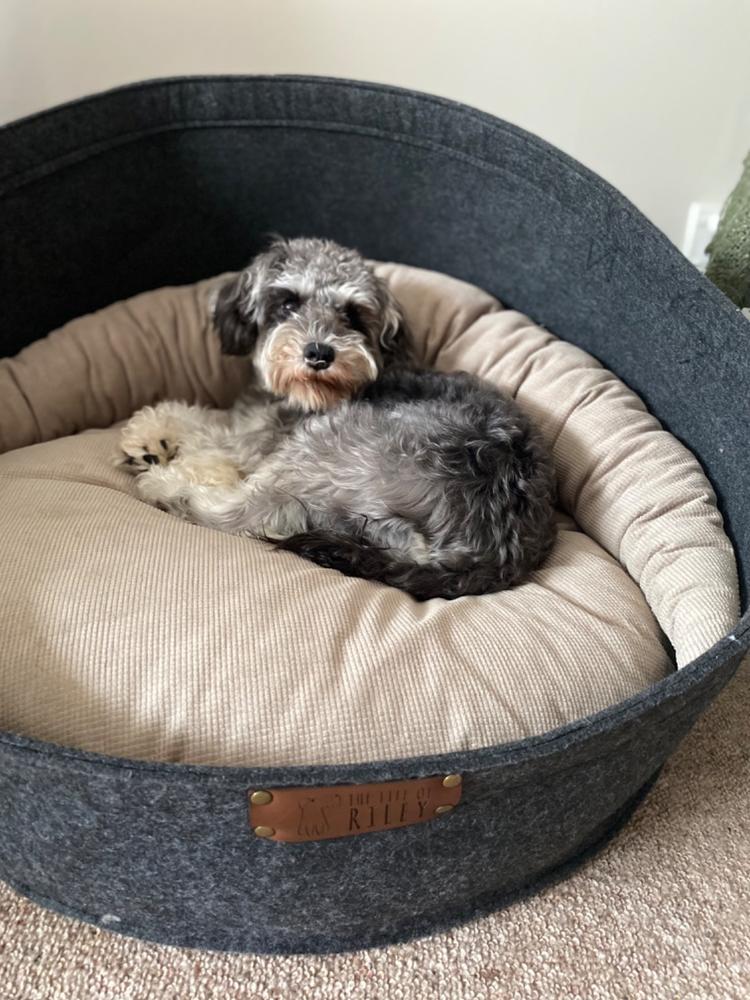The Pod Bed - Customer Photo From Anonymous