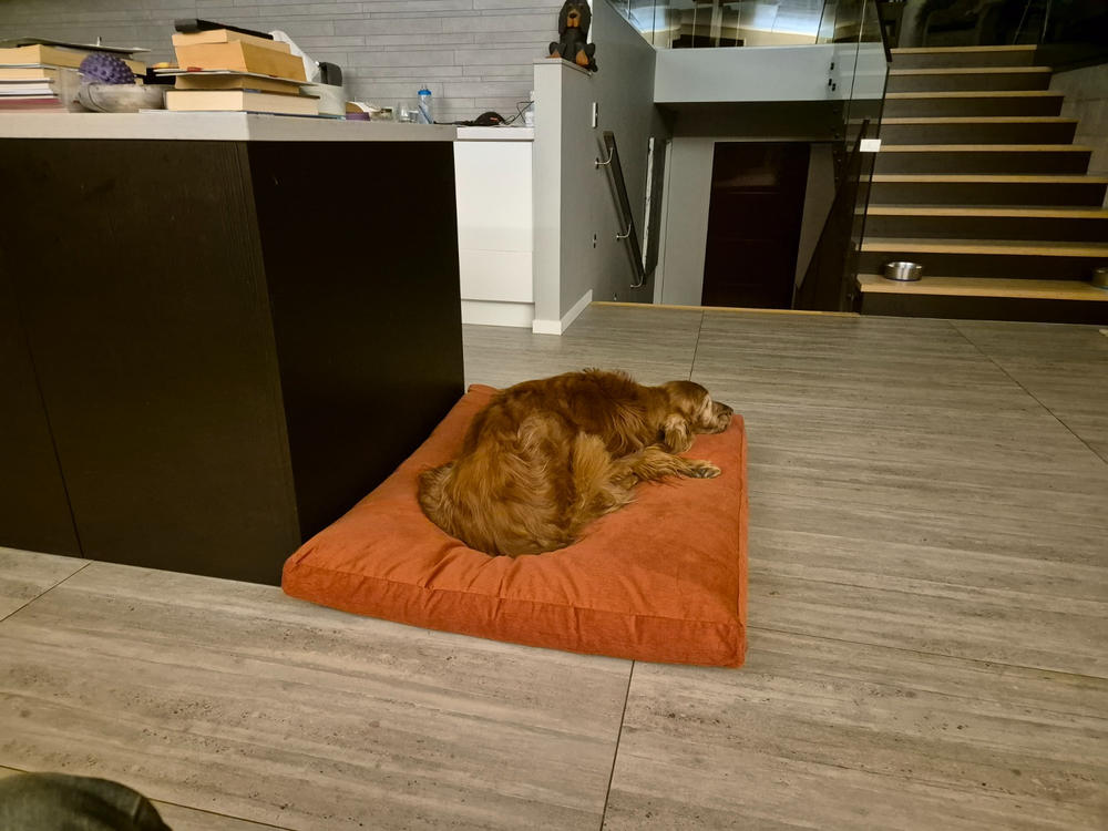 The Original Dog Bed - Customer Photo From Anonymous