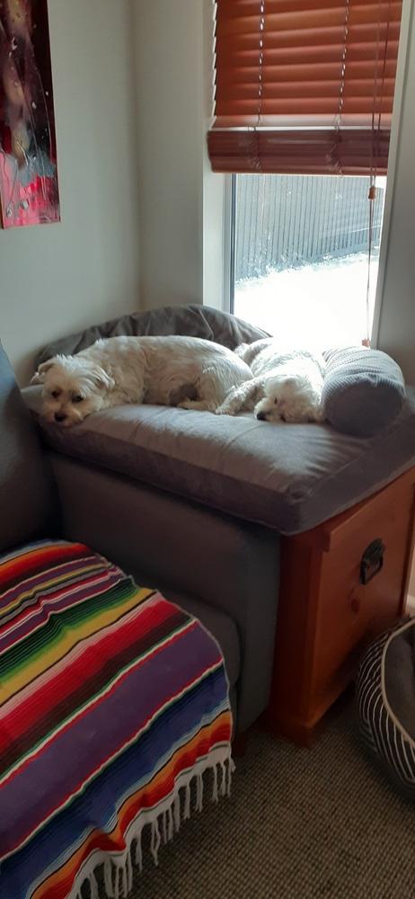 Spare Cover - The Original Dog Bed - Customer Photo From Hannah L.