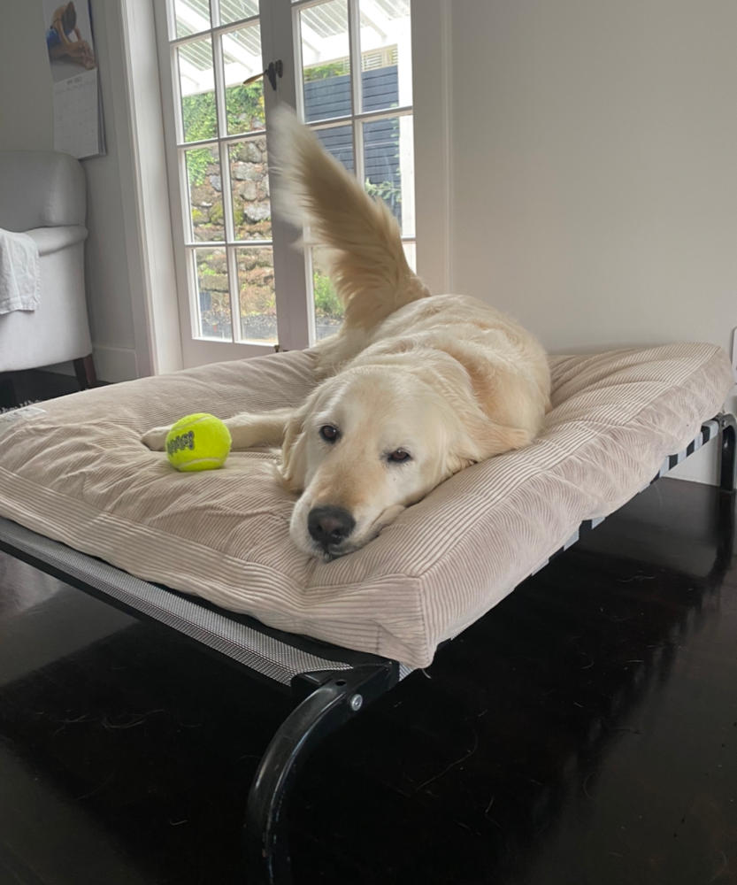 Spare Cover - The Original Dog Bed - Customer Photo From Michelle Viskovich 