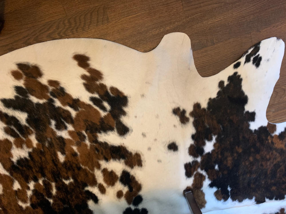 Black and White Cowhide Rug - Customer Photo From Anne d.