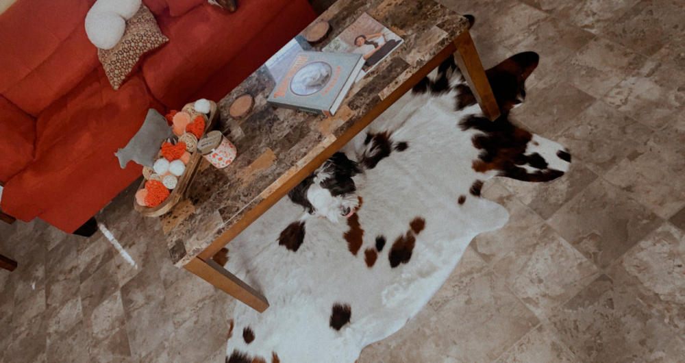 White Tricolor Cowhide Rug - Customer Photo From Sydney