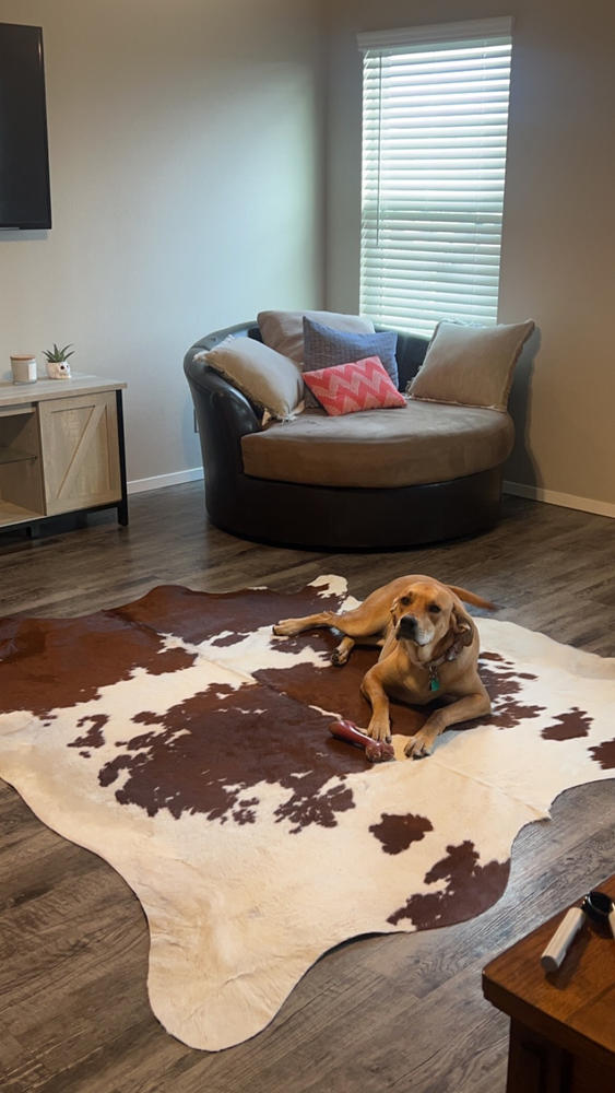 Brown and White Cowhide Rug - Customer Photo From Matthew Puza