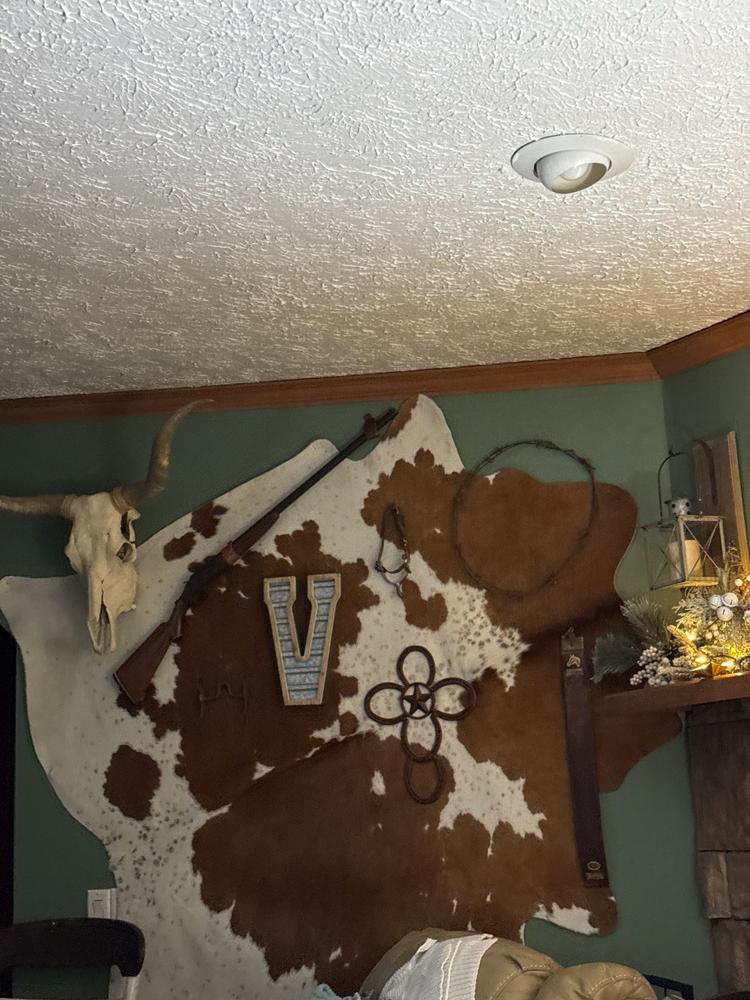 Brown and White Cowhide Rug - Customer Photo From Janie Irey
