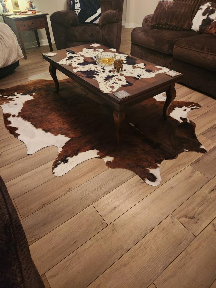 Brindle White Belly Cowhide Rug - Customer Photo From MICHELLE Witt