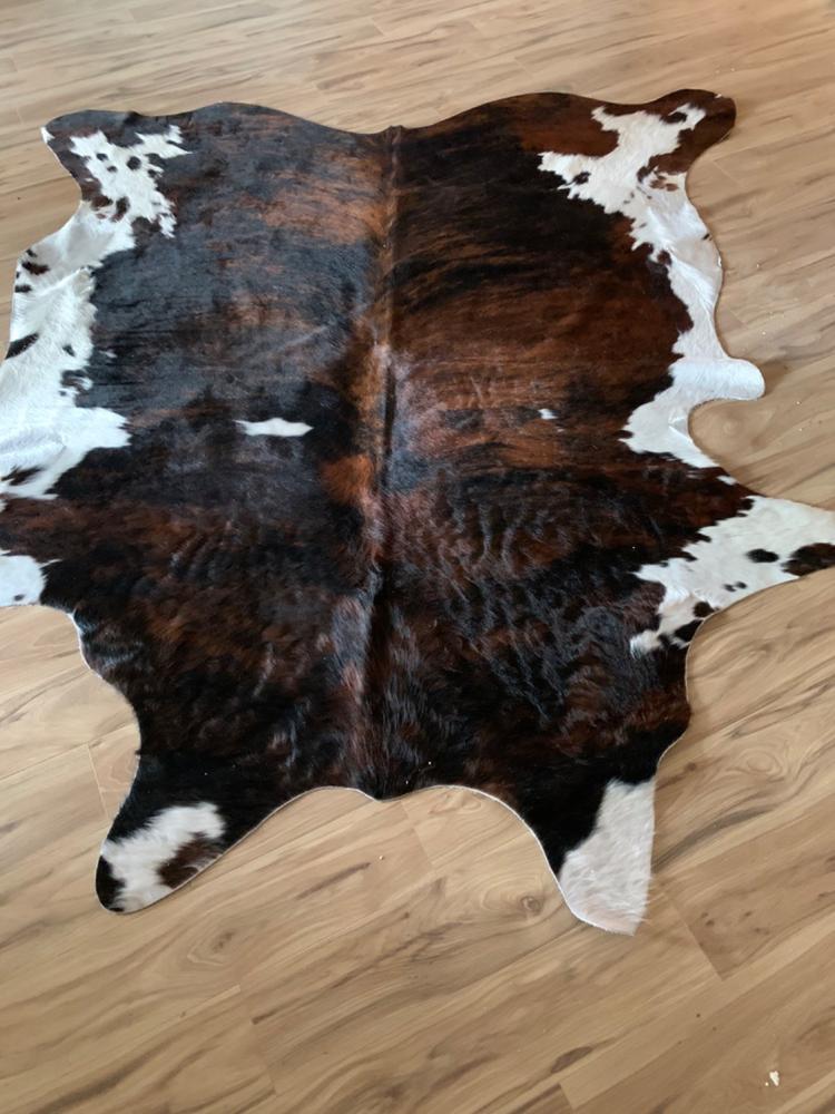 Brindle White Belly Cowhide Rug - Customer Photo From Greg Mealer