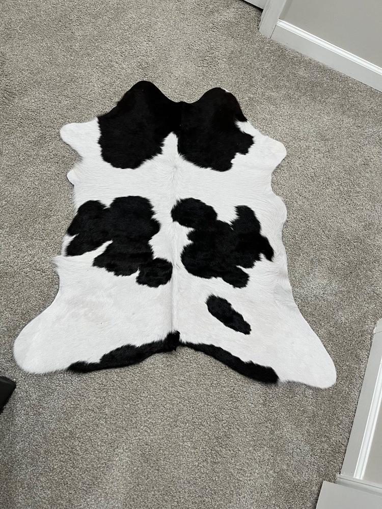 Black and White Calf Hides - Customer Photo From Remond Wright