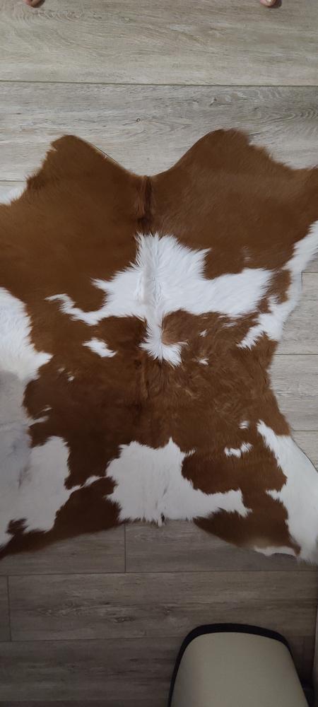Calf Hides - Customer Photo From Michelle