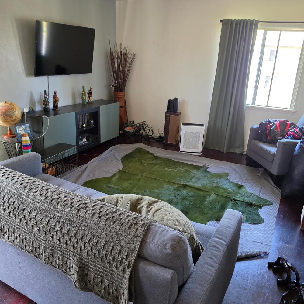 Green Dyed Cowhide Rug - Customer Photo From VAUGHN LOWERY