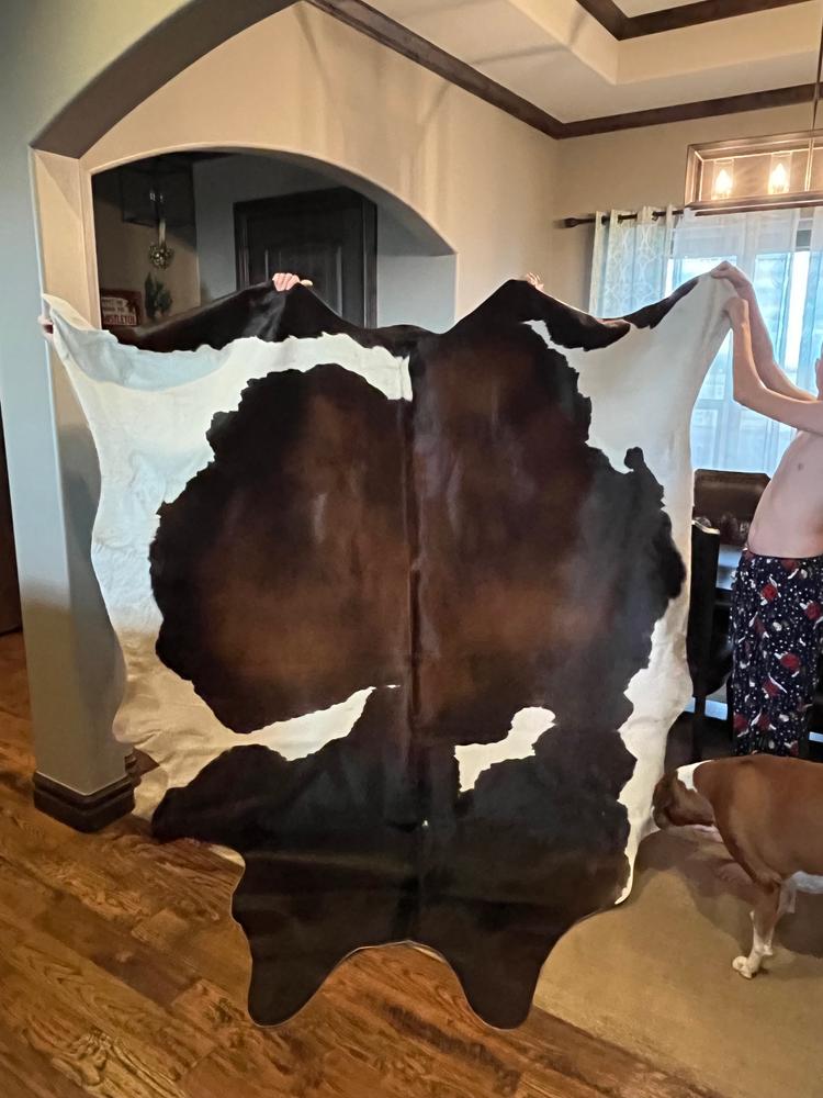Chocolate and White Cowhide Rug - Customer Photo From Kevin