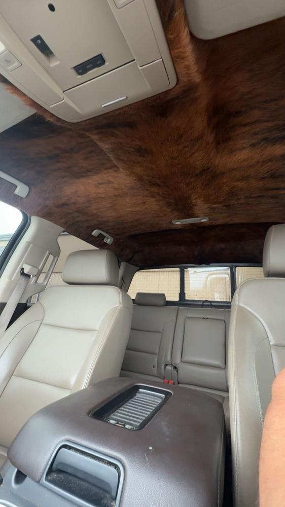 Brindle Cowhide Rug - Customer Photo From Tierney Marshall