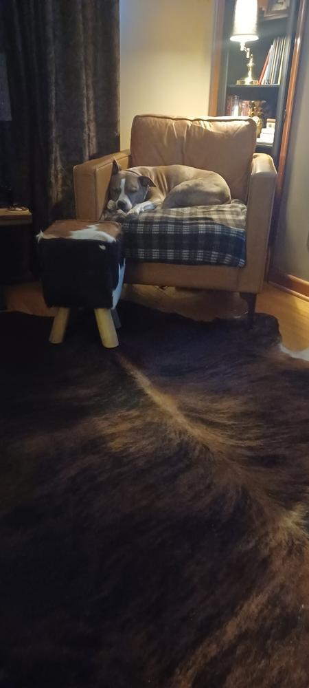 Brindle Cowhide Rug - Customer Photo From Dona Garrison