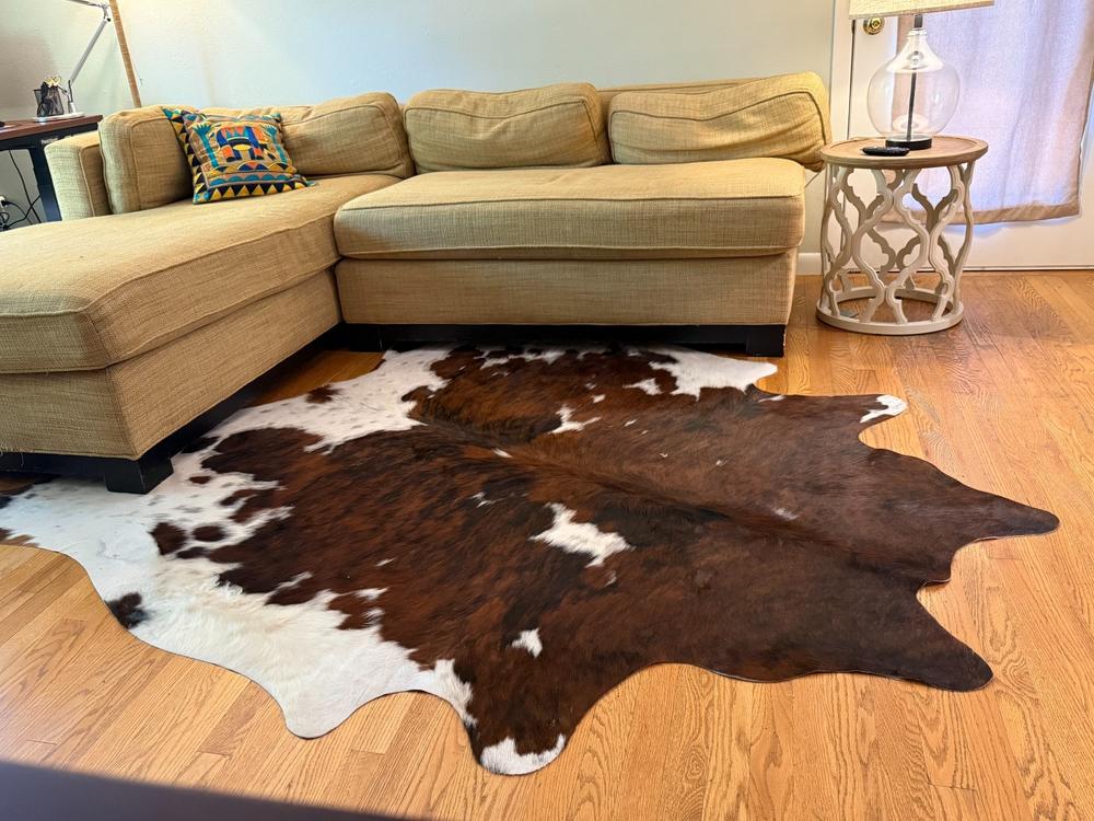 Tricolor Cowhide Rug - Customer Photo From Tamara Loomis