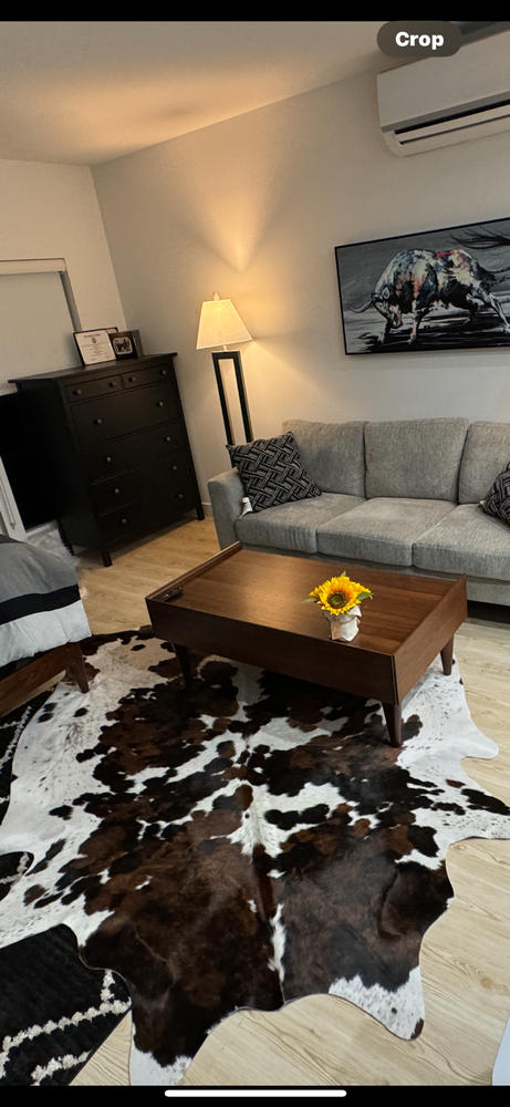 Tricolor Cowhide Rug - Customer Photo From Joe Sierra