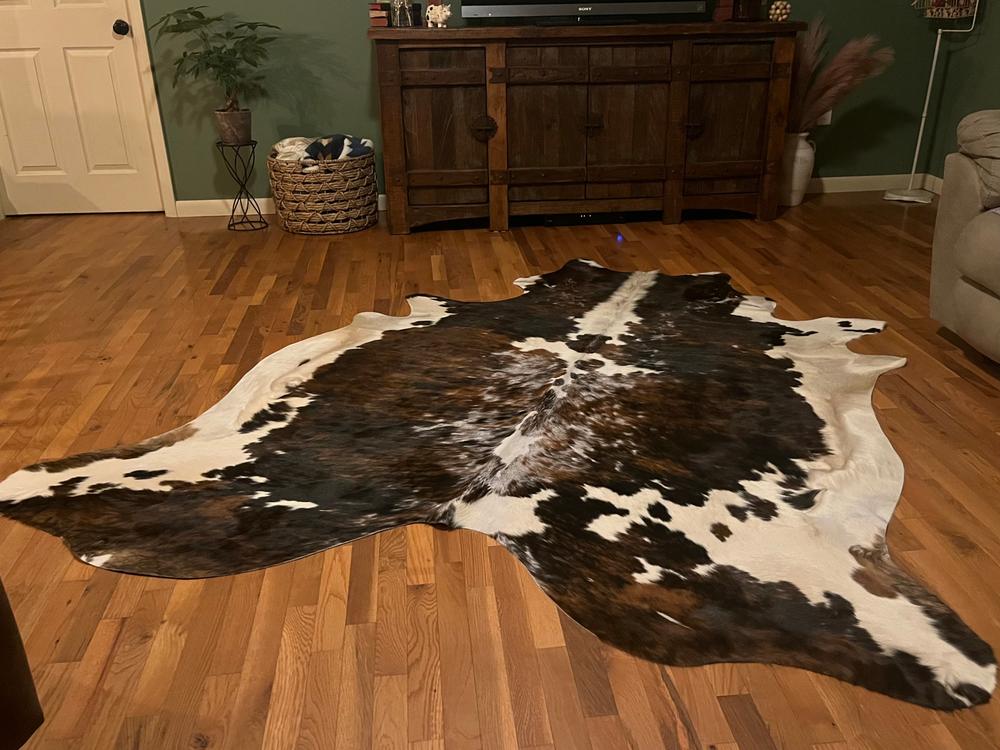 Tricolor Cowhide Rug - Customer Photo From Tonya Rodgers