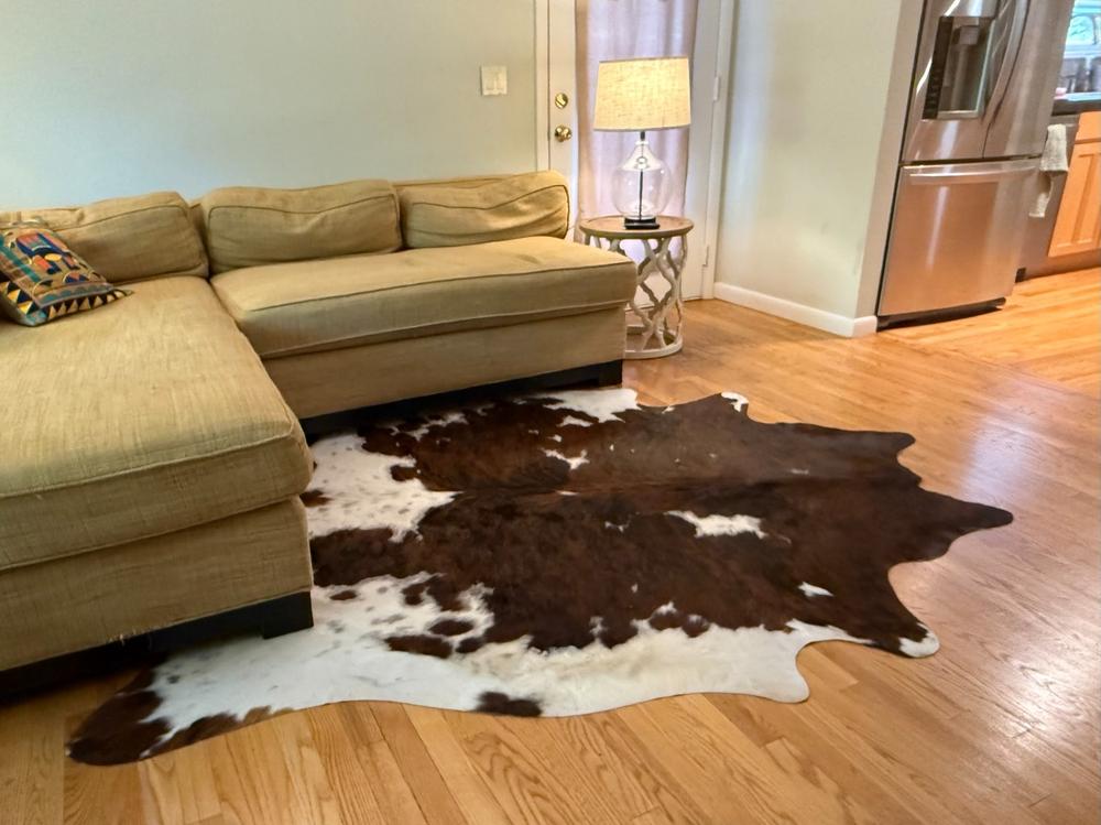 Tricolor Cowhide Rug - Customer Photo From Tamara Loomis