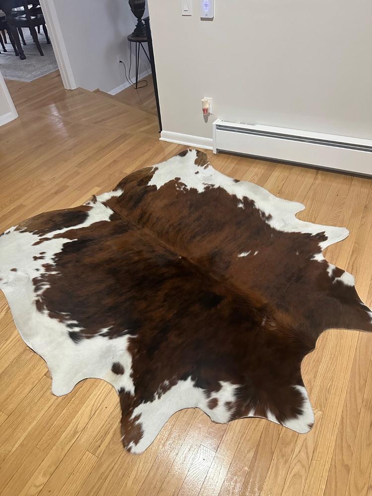 Tricolor Cowhide Rug - Customer Photo From Janna Pecheny